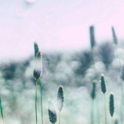 jn江南体育下载