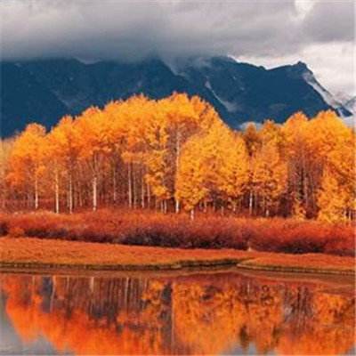 皇冠·app(中国)下载官方版